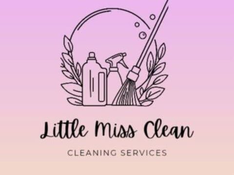 Little Miss Clean