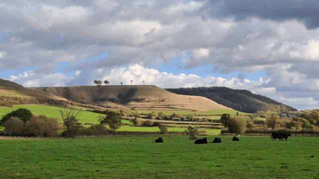 hillside-1