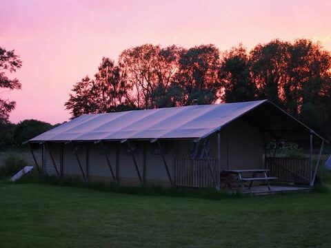 Honey Bee Glamping