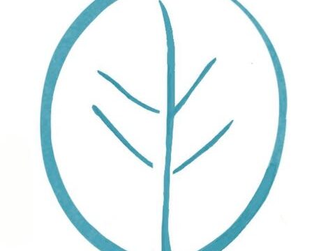 The Mind Tree Cafe