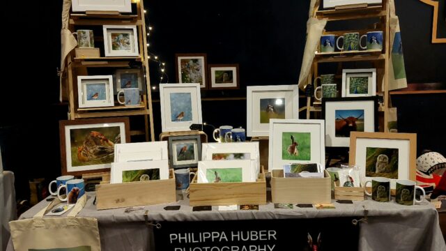Philippa-Huber-Photography-3