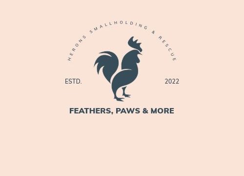 Heron’s Farm Animal Rescue